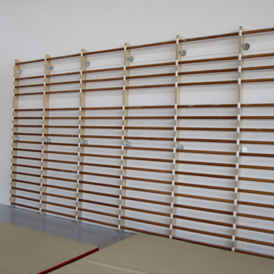 Sprossenwand mit sechs Plätzen im Spendenshop vom Sportzentrum Zürich